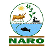 naro
