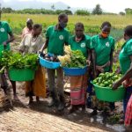 Karenga Market, Karamoja livestock trade, Ugandan socio-economic development, drought-resistant agriculture, African swine fever, food security resilience.