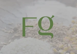 African Market Observatory (AMO) Price Tracker