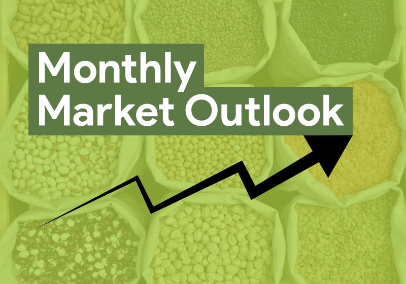 Weekly Market Outlok