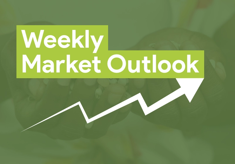 Weekly Market Outlok