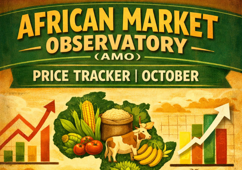 African Market Observatory (AMO) Price Tracker